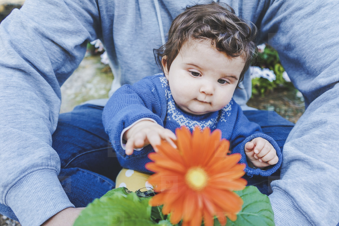 Little baby discovering a huge flower for first time