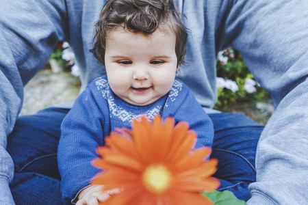 Little baby discovering a huge flower for first time