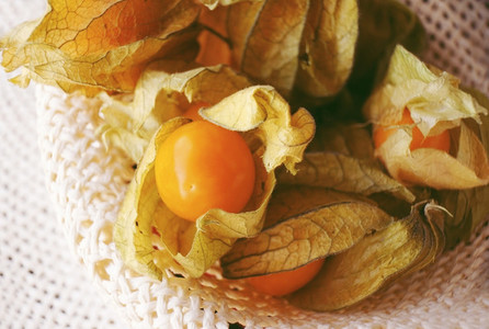 Beautiful macro close up of a orange tasty fruit named physalis