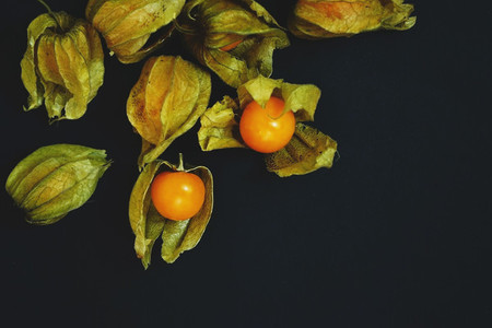Beautiful and elegant macro close up of a lot orange tasty fruit