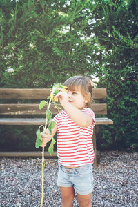 Little girl playing with a sunflower