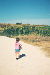 Back view of a litlle girl alone in a field of sunflowers