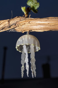 Jelly fish wind chime hanging from branch