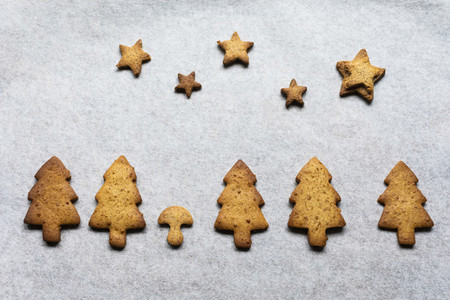 Gingerbread trees and stars on parchment paper
