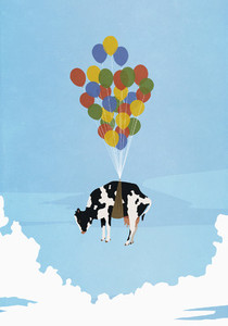 Helium balloon bunch lifting cow in sky
