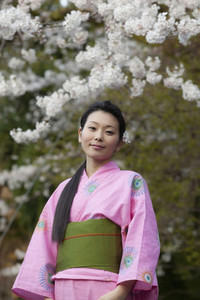Portrait beautiful young woman in kimono below cherry blossoms