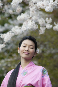 Beautiful serene young woman in kimono below cherry blossoms