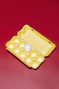 Single egg in polystyrene carton on red background