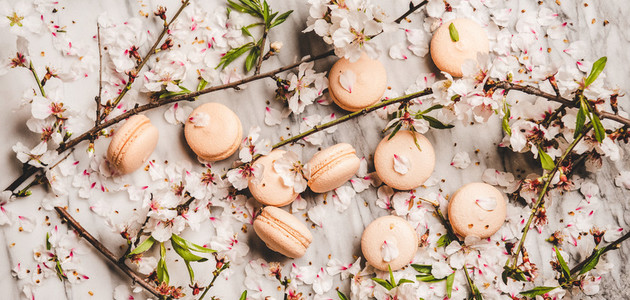 Flat lay of sweet macaron cookies and blossom flowers  wide composition