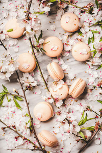 Flat lay of sweet macaron cookies and blossom flowers and branches