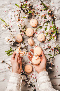 Womans hands holding macaron cookies over floral background