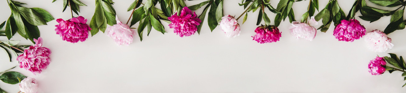 Flat lay of pink and purple peony flowers over white background