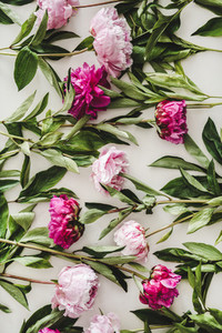 Summer peonies flowers layout  wallpaper  background or texture