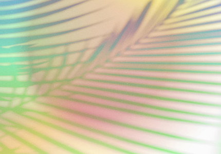 Natural shadow overlay on abstract gradient colorful background