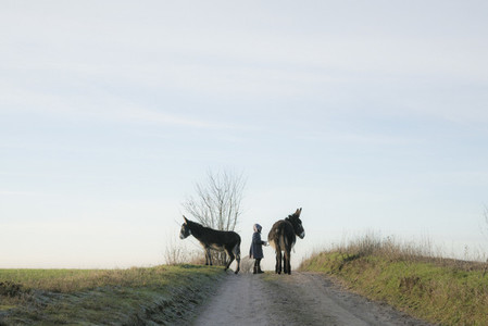 Girl with donkeys on rural road