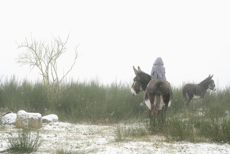 Girl riding donkey in snowy field