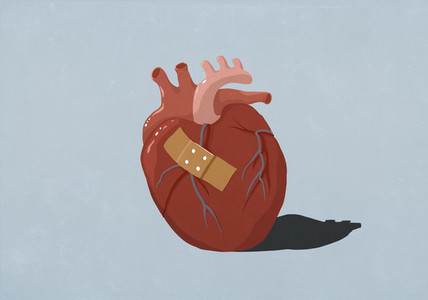 Bandage on human heart