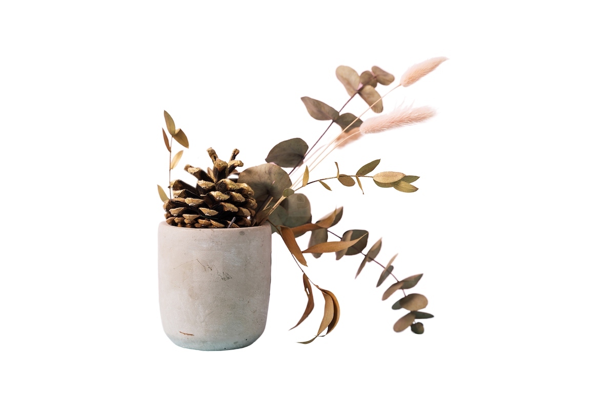 Isolated Still Life on White 28