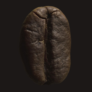 Close up brown coffee bean on black background