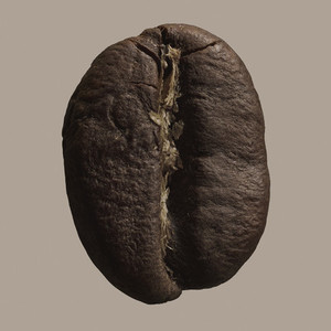 Close up brown coffee bean on gray background