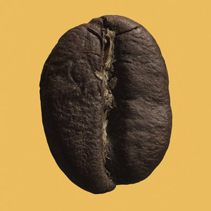 Close up coffee bean on yellow background