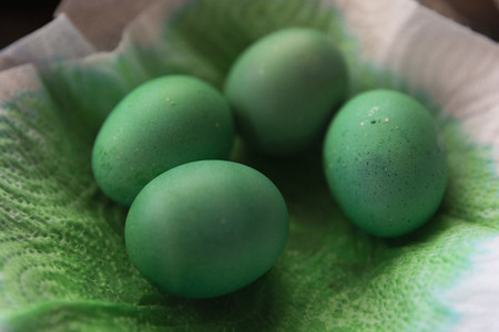 Close up dyed green Easter eggs drying on paper towel