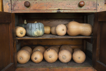 Pumpkins and butternut squash in rustic wooden cupboard
