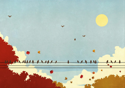 Birds on telephone wire against autumn trees and sunny blue sky