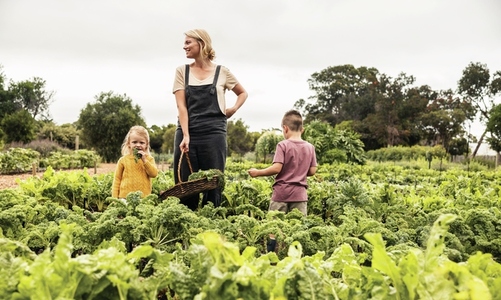 Young mother standing in a vegetable garden with her children