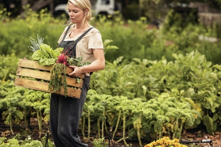 Self sustainable organic farmer gathering vegetables on her farm