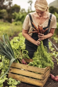 Woman gathering fresh vegetables on her farm