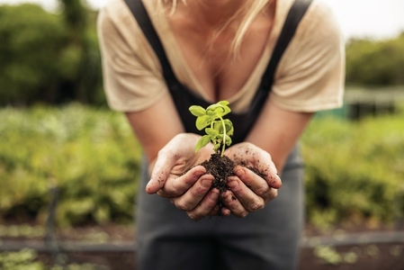 Young woman holding a green plant growing in soil