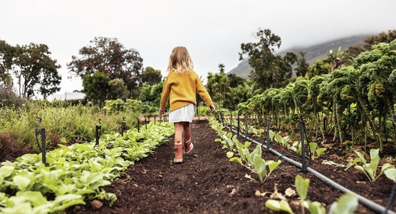 Blonde kid walking through an organic farm