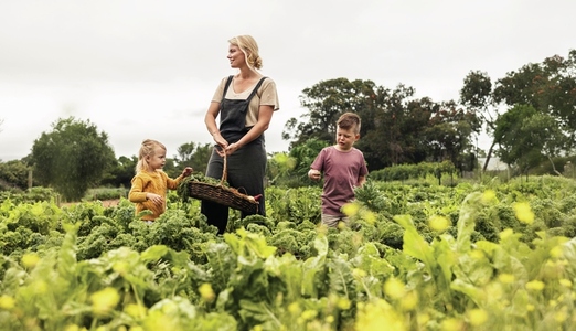 Self sustainable family harvesting fresh vegetables in an organic garden