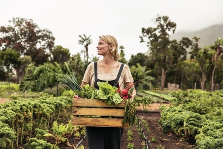 Young female farmer gathering fresh vegetables on her farm