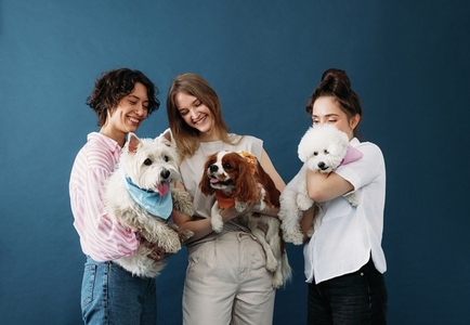 Three young women holding their cute little dogs while standing in studio against blue background