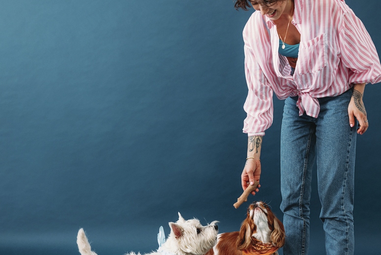 Young pet owner playing with three little dogs in the studio on blue background