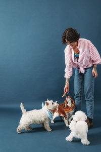 Young pet owner playing with three little dogs in the studio on blue background