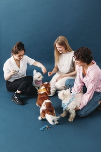 Three pet owners sitting on blue background in studio and playing with dogs