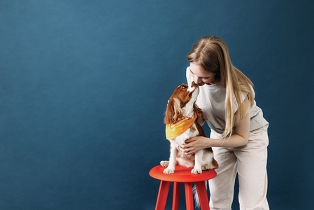 Little dog sitting on chair in studio  Young woman kissing her little pet against blue background