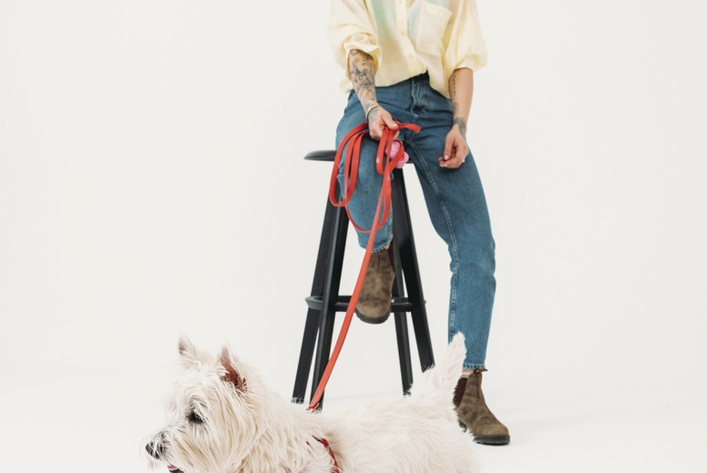 Woman in casual clothes with her dog in studio against white backdrop