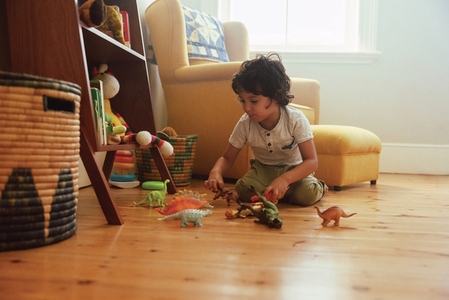 Cute young boy playing with colourful animal toys  at home