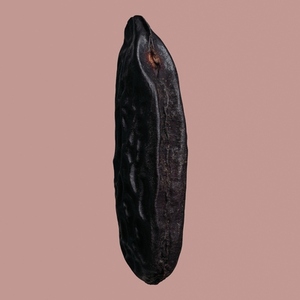 Close up black tonka bean on pink background