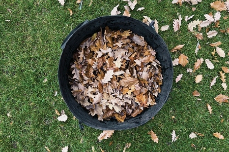 View from above autumn leaves in bucket on lawn