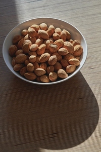 Sunlight over bowl of almonds in shells