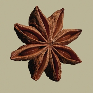 Close up brown star anise