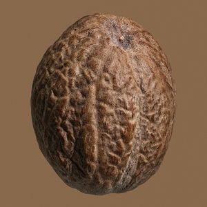 Close up brown nutmeg in shell