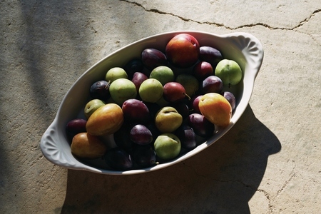 Multicolor plums in sunny bowl