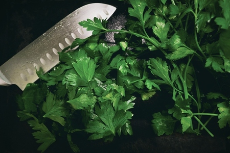 Fresh flat leaf parsley and stainless steel knife
