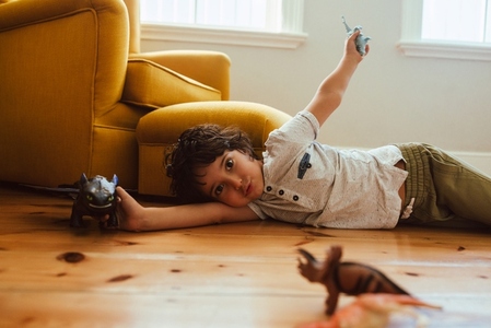 Cute young boy playing with animal toys at home